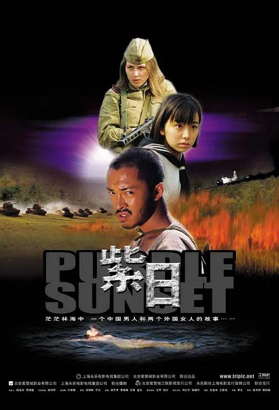 国产精品毛片高清在线完整版