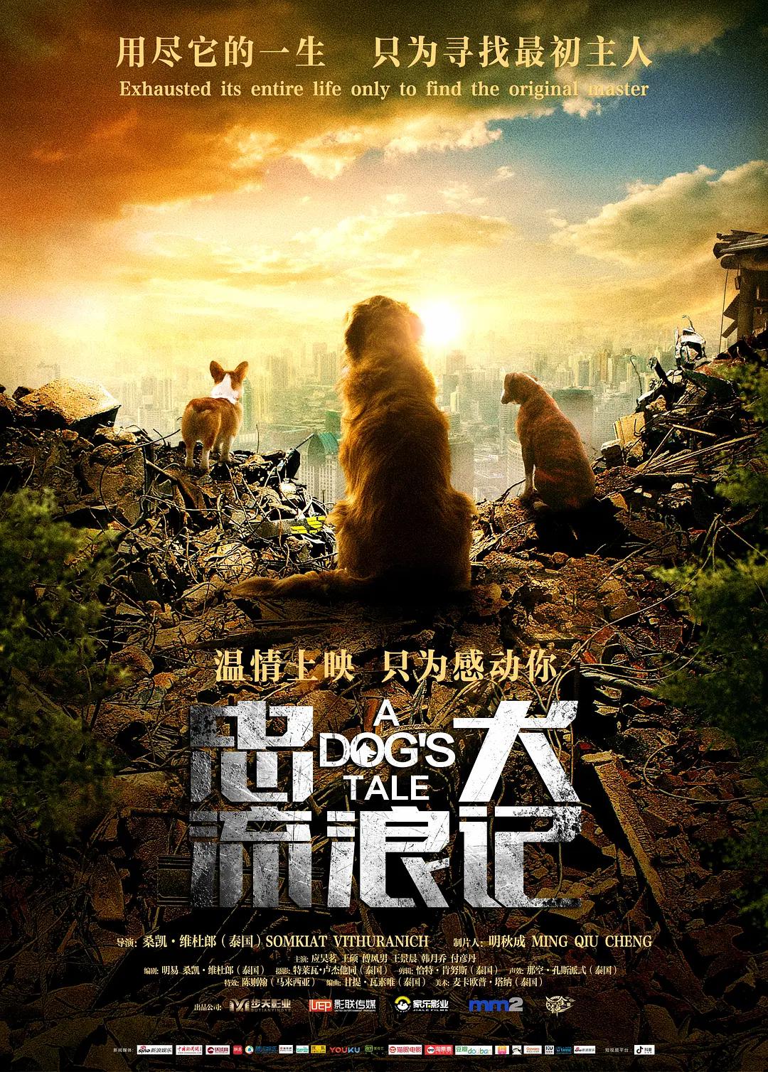 国产中文无码日韩