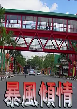 亚洲精品中文字幕区露脸口爆熟女