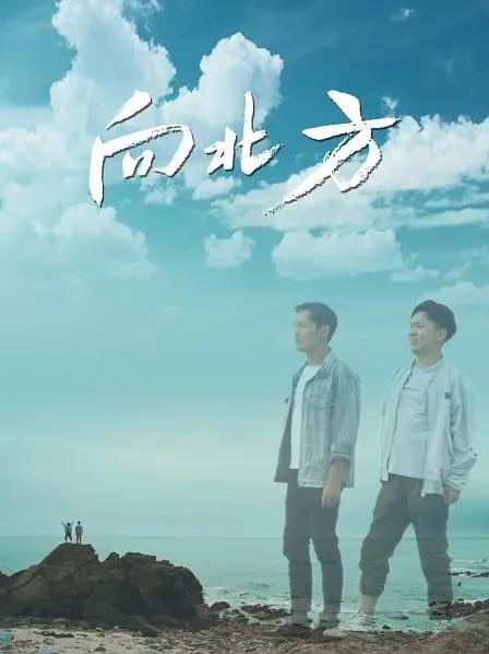 在线观看无需下载