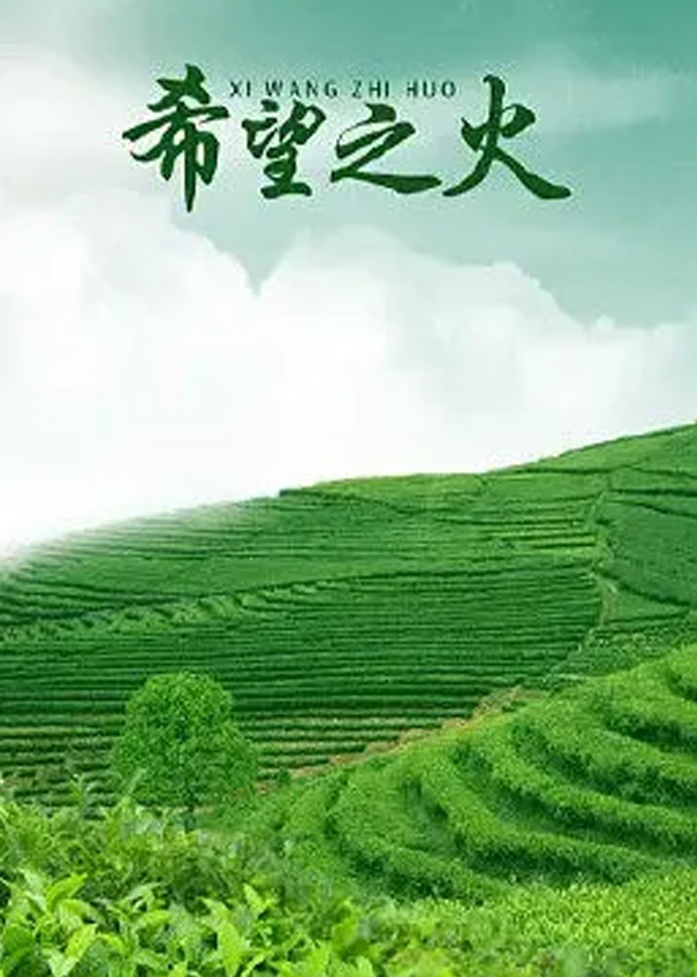 99久久国产