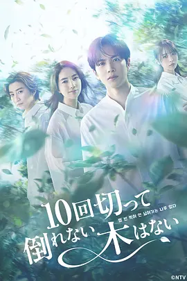 99久久精品国产免费看不卡 - 在线观看电视剧