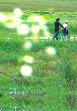 真实国产乱子伦视频