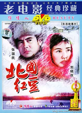 无码国产精品一区二区免费式冫忍