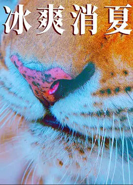 99re6国产精品免费播放