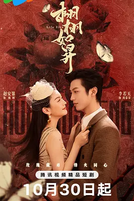 看黄视频软件下载