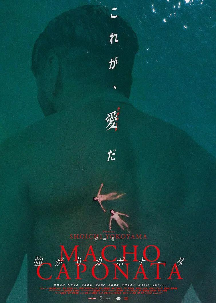 一区二区视频在线
