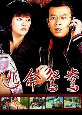 国产成人啪精品午夜在线观看 - BD英语日韩免费观看