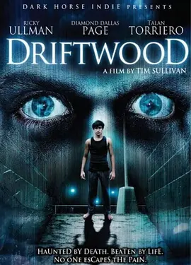 国产精品免费一区二区三区视频