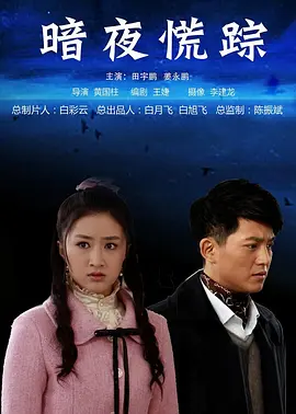 久久久免费国产精品播放