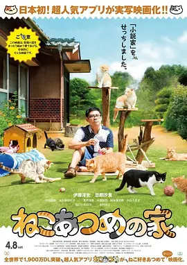 亚洲日韩中文字幕手机在线