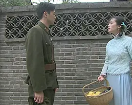 国产精品免费在线观看