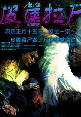 午夜精品一区二区三区在线观看