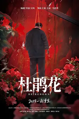 成人国内精品视频在线观看