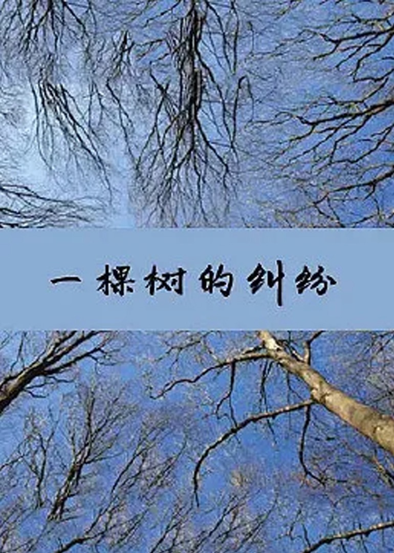 中文字幕日韩专区下载