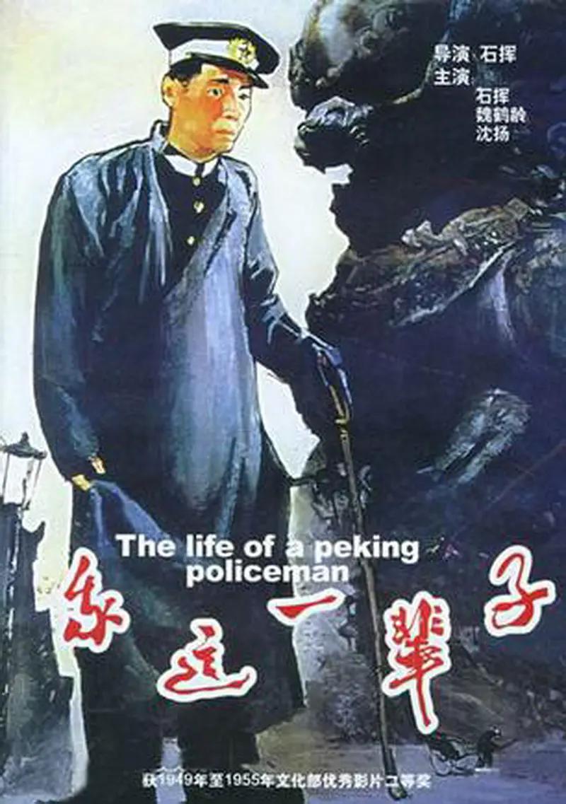 久久亚洲精品无码av热妇