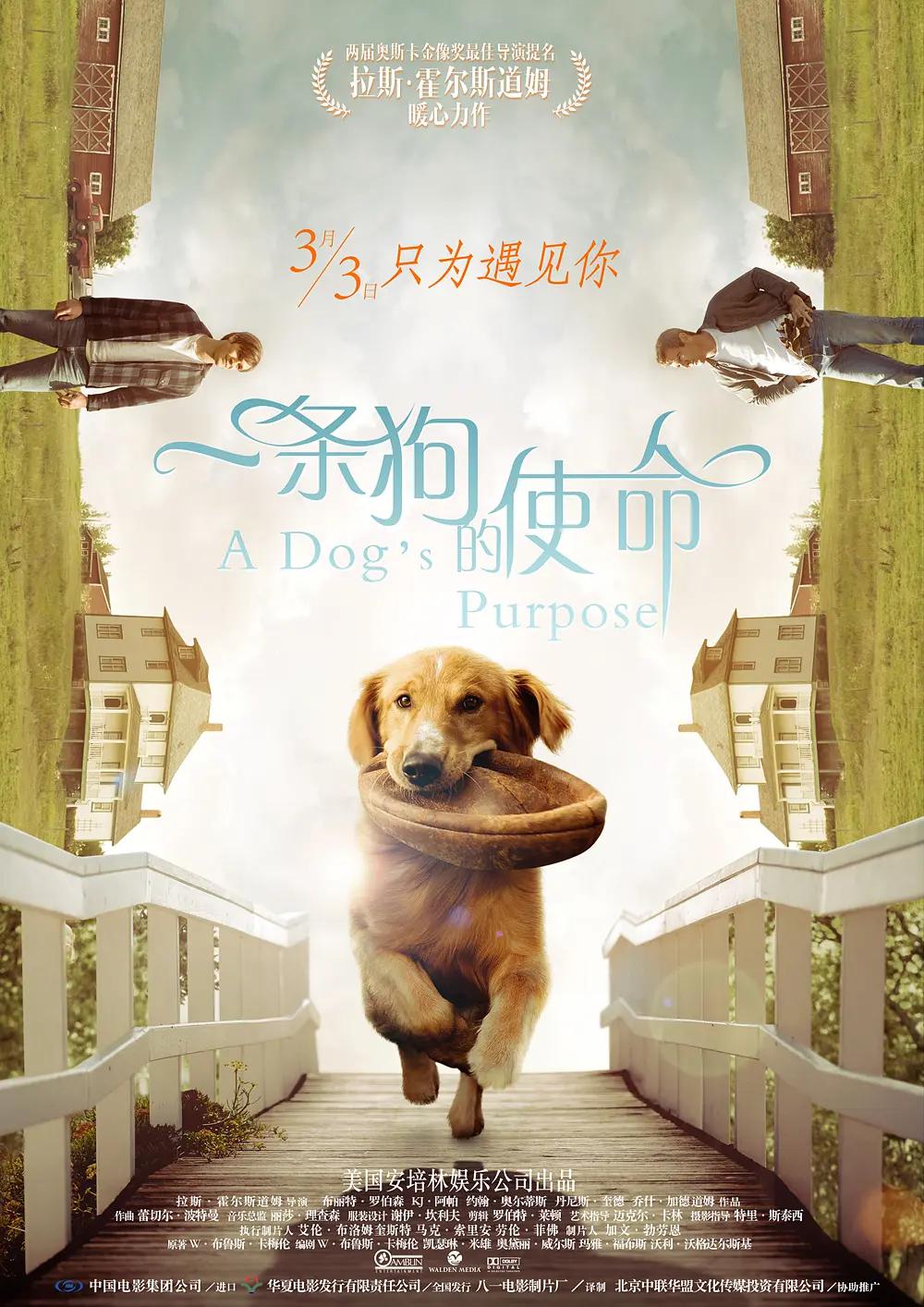 一级a片片2019