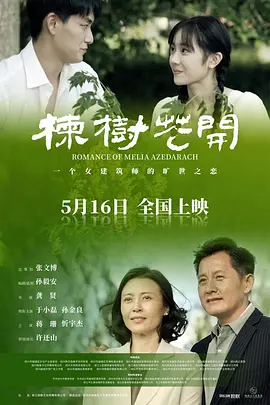 国产精品毛片高清在线完整版