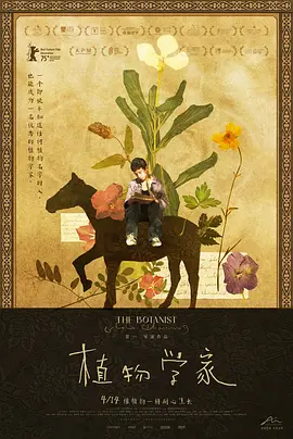 heyzo综合国产精品216-HD720高清日韩在线观看