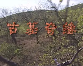 国产大片91精品免费看3