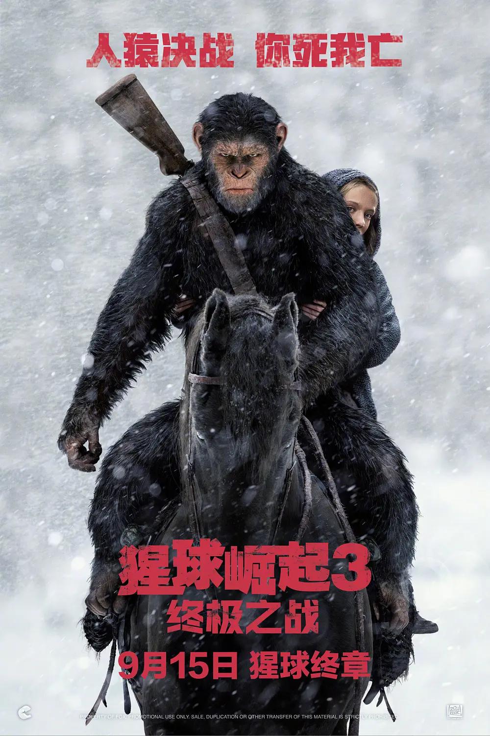 久久久这里有精品 - 最新电影在线观看