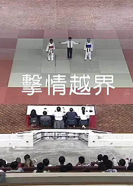 又爽又黄又无遮挡的视频1000